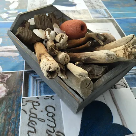 Villino Maria Sarzana